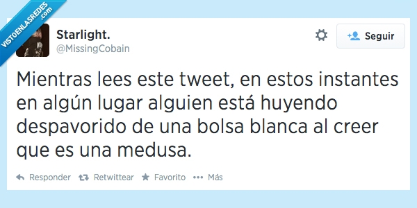 miedo,creer,huir,bolsa,playa,verano,aaaa,plaga,medusas,twitter