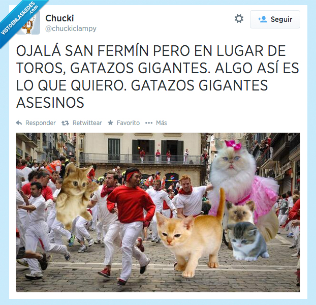 san fermin,gato,grande,gatazo,toro,encierro