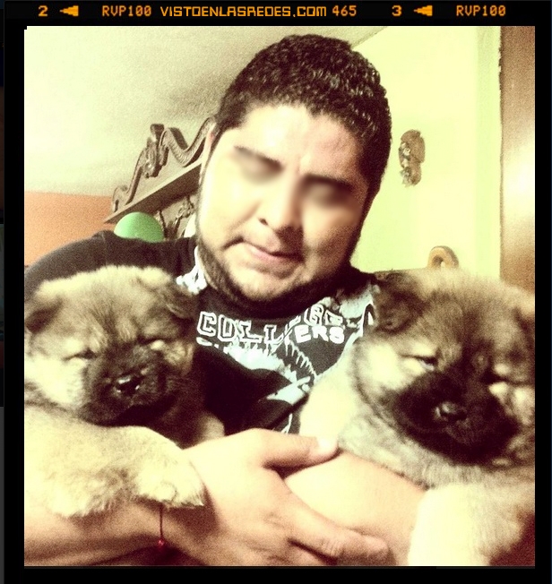 perros,padre,hermanos,cachorros,querer,misma cara