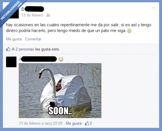 cisne,soon,wtf,qué cosas tan raras pasan en fb,pato,camara,perseguir,peligro
