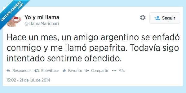 ofendido,enfado,ofensa,papafrita,insulto,argentino