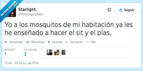 mosquitos,verano,twitter,sit,plas,perro,mascota,adiestrar,calor