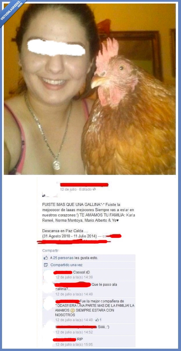 se llama Calda?,wtf,Facebook,RIP,mascota,Gallina