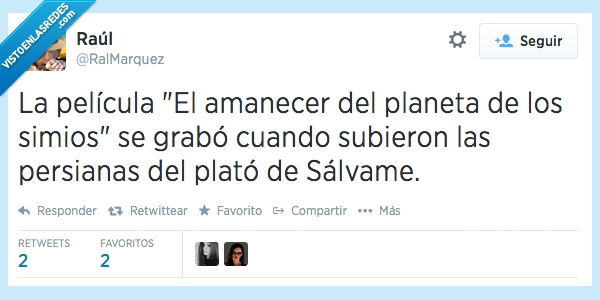 El planeta de los simios,amanecer,luz,película,grabación,sálvame,telecinco,persianas
