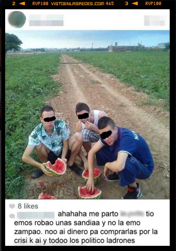 sandías,robar,roban,fruta,gentuza,cani,campo,instagram,privado,comen,comer,foto,facebook,rota,Sandía