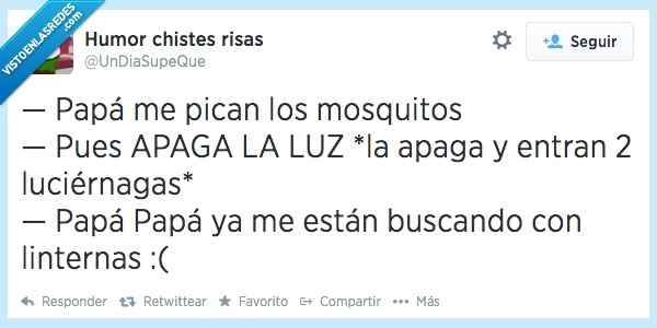 mosquitos,luciernagas,buscar,linterna,apagar,luz