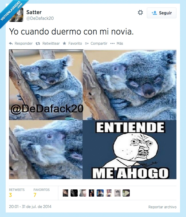 Dormir,pareja,ahogar,romántico,mal,koala,arbol,novia,respirar,y u no