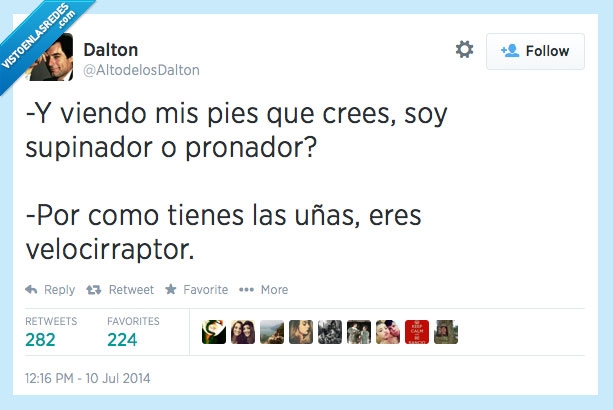 calzado,pies,uñas,velocirraptor,supinador,pronador