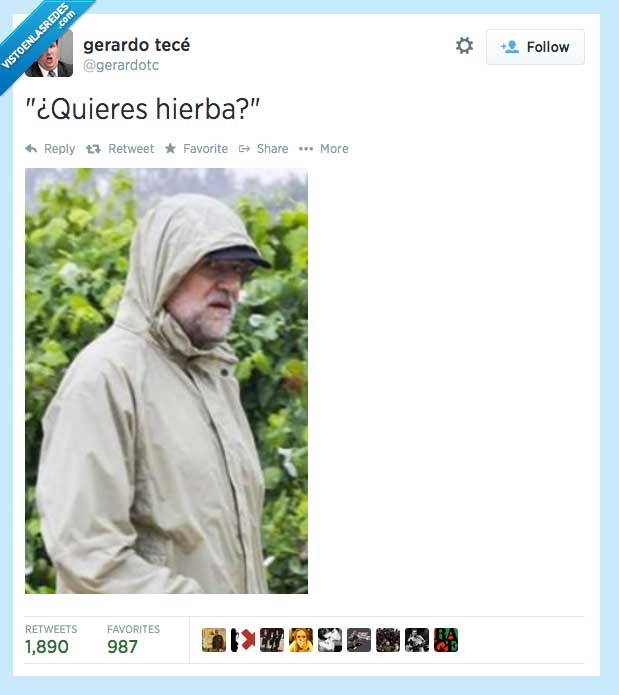 delincuente,hierba,capucha,Rajoy