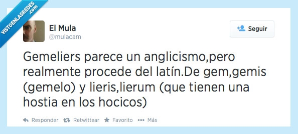 latín,gemeliers,fans