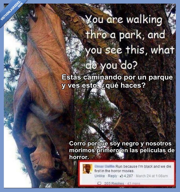 arbol,morir,primero,hollywood,película,correr,vampiro,parque,negro