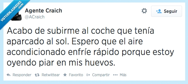 pollito,fuego,arder,aparcar,aparcado,Enfriar,Aire acondicionado,Coche,Sol,Calor,piar