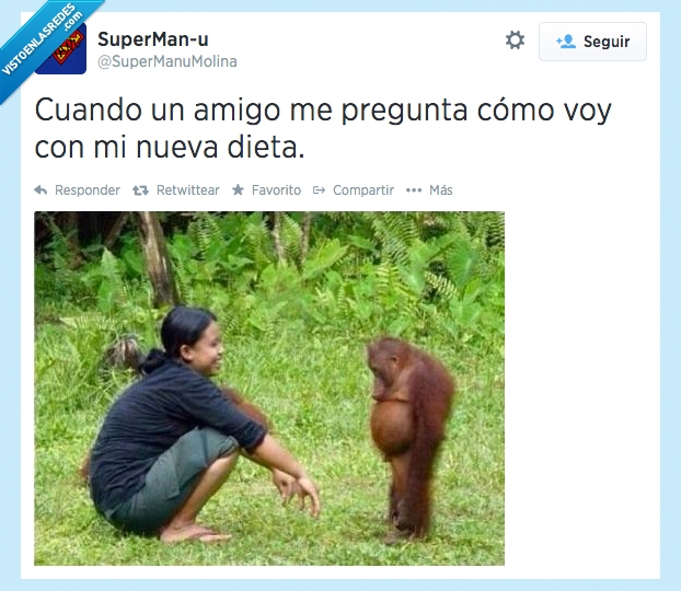 engordar,gordo,mono,verano,adelgazar,dieta,panza