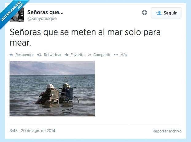 notas,silla de ruedas,señoras,que,mar,mear,disimulo