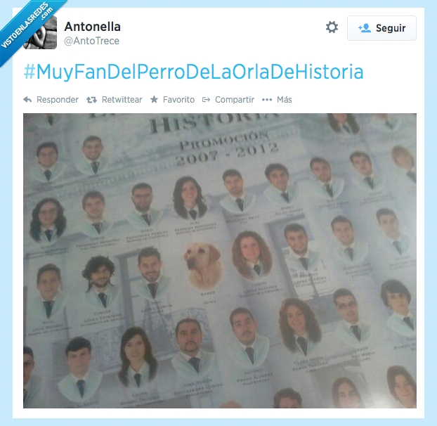 carrera,usc,historia,facultad,orla,perro