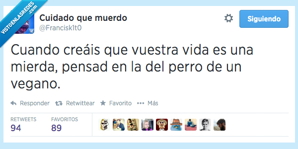 vegano,perro,consuelo,pensar,desgraciada,vida