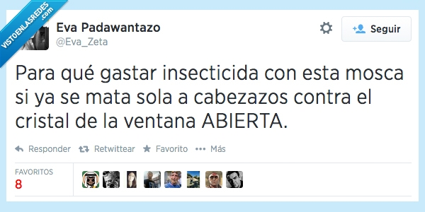 matar,ventana,mosca torpe,ventana abierta,mosca,insecticida