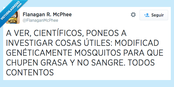 chupar,sangre,mosquitos,geneticamente,modificar,util,cosa,investigar,cientifico,grasa