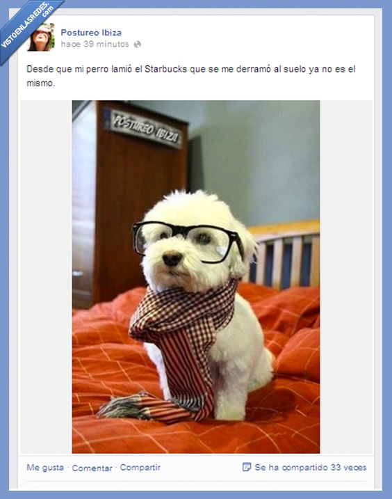 gafas,bufanda,beber,postureo,moda,mascota,hipster,starbucks,perro