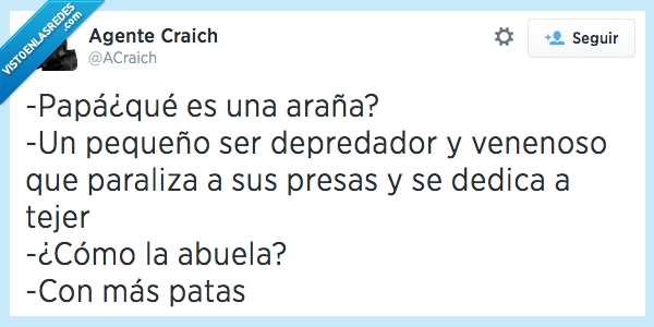 abuela,araña,tejer,patas,veneno,como,depredador,venenoso