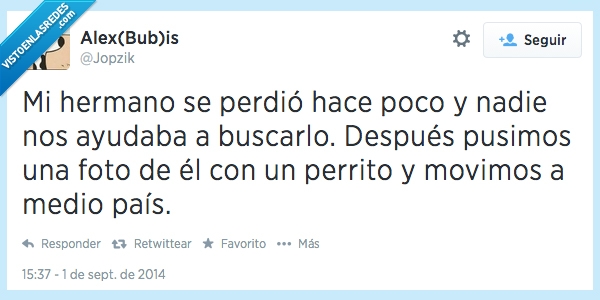 perro,pena,mover,pais,medio,photoshop,foto,perrito,buscar,ayudar,perder,perdio,hermano