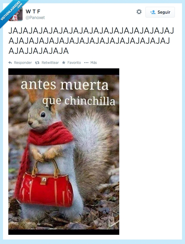 sendilla,bufanda,bolso,ardilla,chinchilla,antes muerta,bolsa