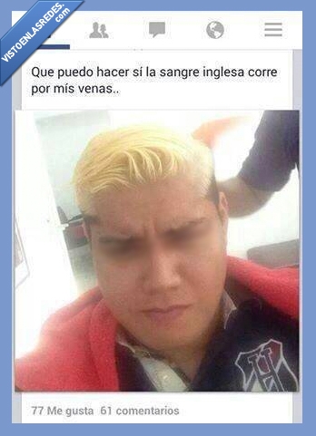 aparentar,cutre,pollo,amarillo,decolorado,venas,corre,inglesa,sangre,ingles,foto,facebook,estado