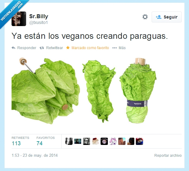 lluvia,lechuga,veganos,paraguas