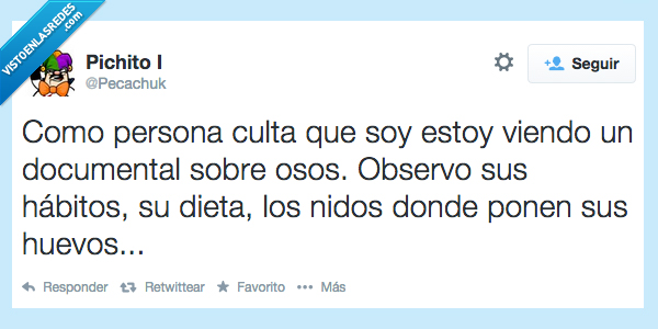 ave,animal,nido,documental,culto,mentira,oso