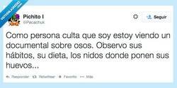 Enlace a Tienen unas costumbres fascinantes por @Pecachuk