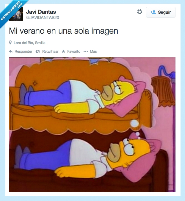 Verano,calor,no hay ganas de nada mas,vago,homer,simpson,tumbado,sofa