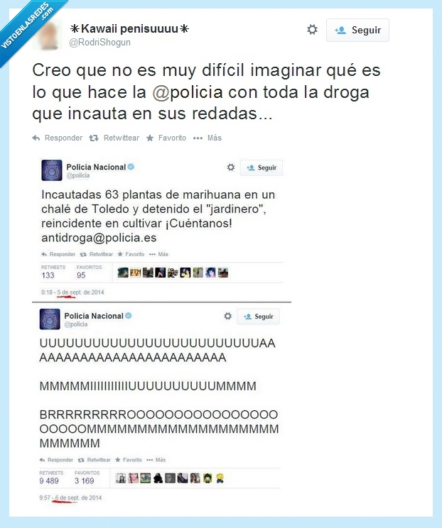 fumar,maria,rt,droga incautada,policia,feliz