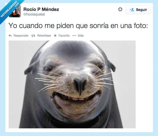 foto,foca,Twitter,sonreír,animal,fotogenico,falso,sonrisa falsa,feo,fea