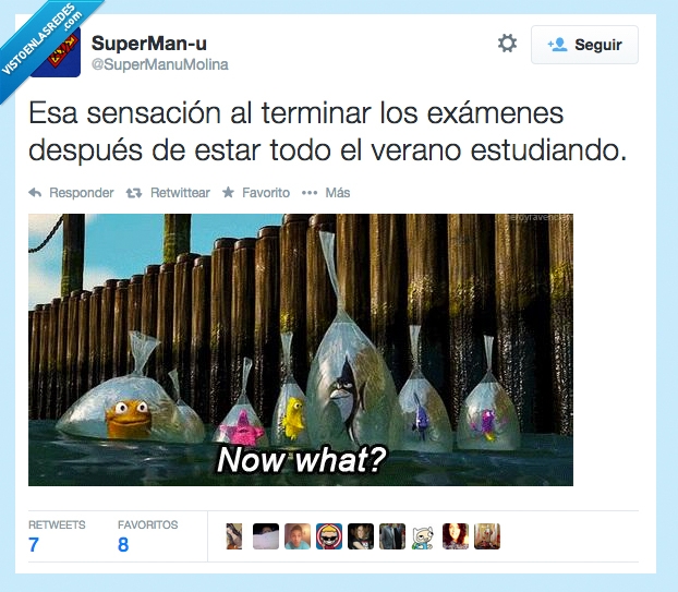 buscando a nemo,exámenes,septiembre,estudiar,acabar