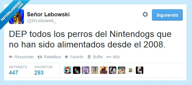 Nintendogs,Twitter,DEP