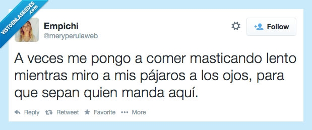 twitter,comer lento,masticar,boca