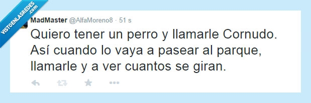 perro,cornudo,parque,cuernos