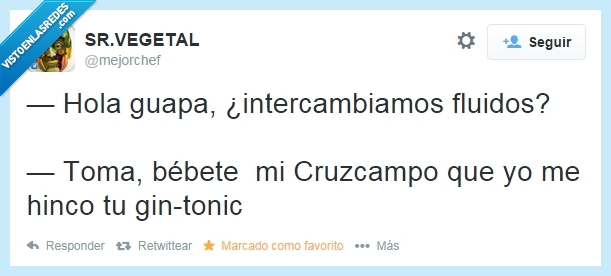bebida,beber,ligar,cerveza,intercambio,cruzcampo,gin tonic,fluidos