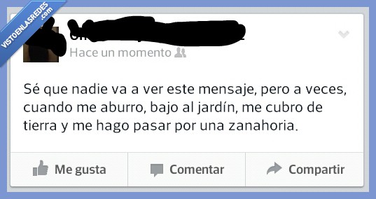 jardín,zanahoria,estados,facebook,cubrir,tierra,bajo,bajar,tapar,pasar