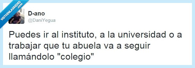universidad,trabajo,colegio,abuelas,clase,trabajar,niño,pequeño,nieto,nieta