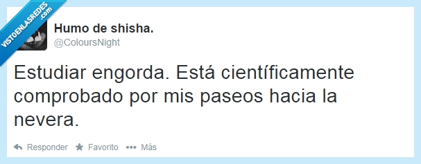 estudiar,engorda,engordar,peso,paseo,nevera,comer,picar