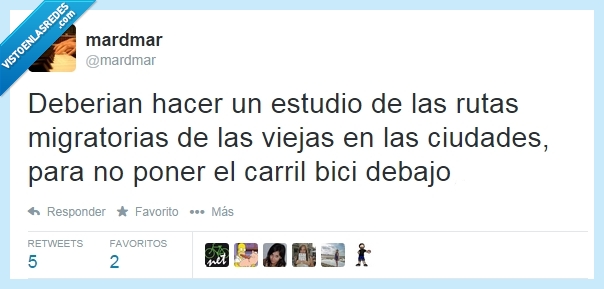 Bici,carril,viejas,circular,estudio,migratorias