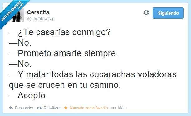 matar,aceptar,proposición,boda,voladora,cucaracha