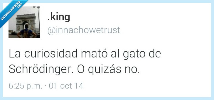 curiosidad,mato,matar,gato,schroginger,no,incertidumbre