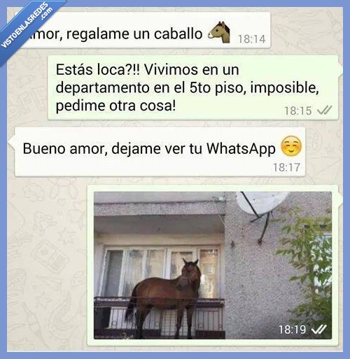 caballo,conseguir,amor,whatsapp,cuernos,hablar,novio,novia