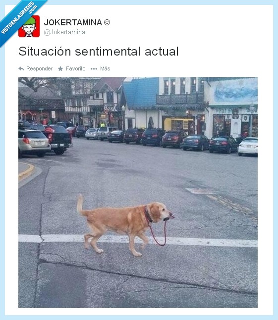 nadie,necesitar,mismo,llevar,jokertamina,corea,perro,actual,sentimental,situación