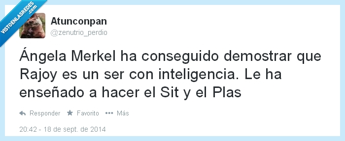 angela merkel,demostrar,rajoy,inteligencia,perro,entrenar,sit,plas