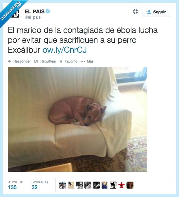 sacrificar,excalibur,ebola,infectada,mujer,marido,perro