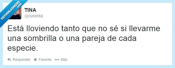 arca,noe,especie,pareja,tweet,twitter,humor,españa,llover