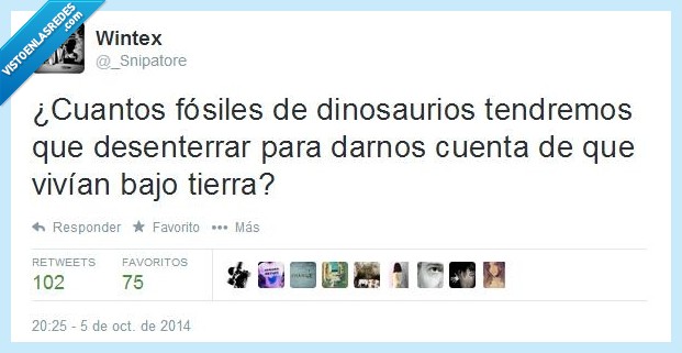 Dinosaurios,Fósiles,Bajo,Tierra,vivir,vida